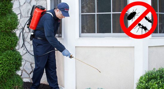 Bingöl Akrep İlaçlama böcek ilaçlama ve haşere kontrolü — ilaclama-tr.com